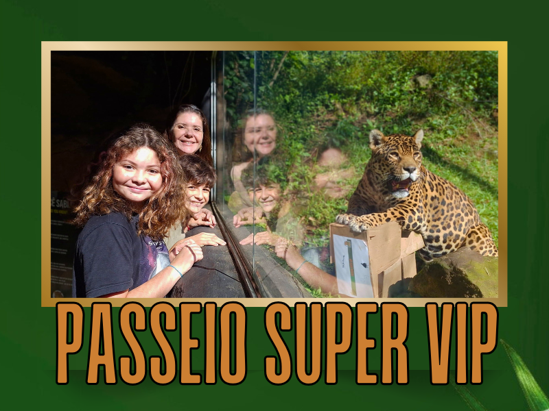 ingresso passeio super VIP